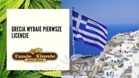 Grecja wydaje pierwsze licencje